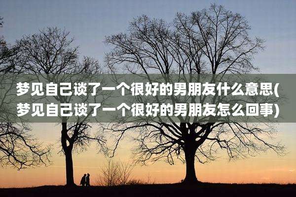 梦见自己谈了一个很好的男朋友什么意思(梦见自己谈了一个很好的男朋友怎么回事)