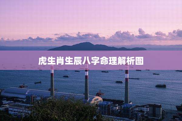 虎生肖生辰八字命理解析图