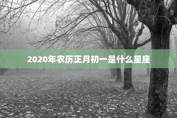 2020年农历正月初一是什么星座