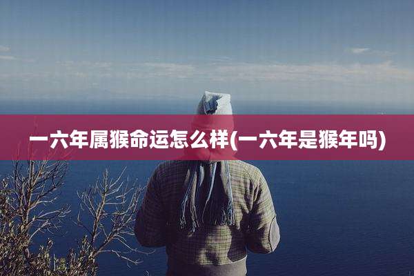 一六年属猴命运怎么样(一六年是猴年吗)
