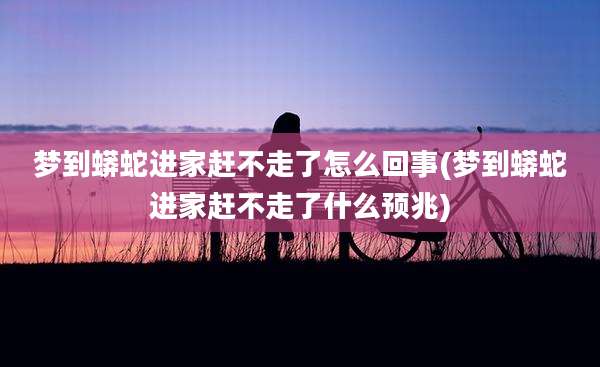 梦到蟒蛇进家赶不走了怎么回事(梦到蟒蛇进家赶不走了什么预兆)