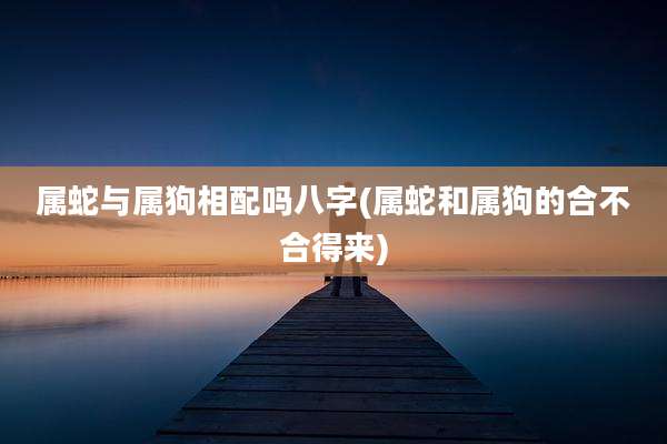 属蛇与属狗相配吗八字(属蛇和属狗的合不合得来)