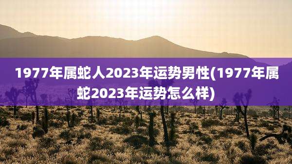 1977年属蛇人2023年运势男性(1977年属蛇2023年运势怎么样)