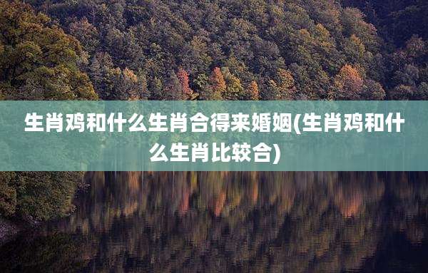 生肖鸡和什么生肖合得来婚姻(生肖鸡和什么生肖比较合)
