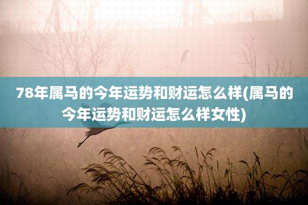 78年属马的今年运势和财运怎么样(属马的今年运势和财运怎么样女性)