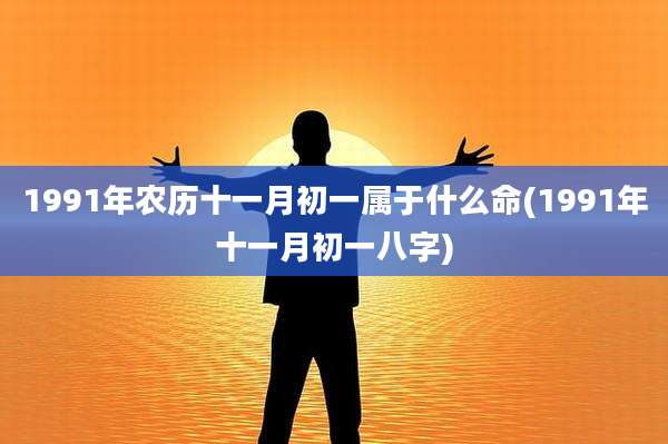 1991年农历十一月初一属于什么命(1991年十一月初一八字)