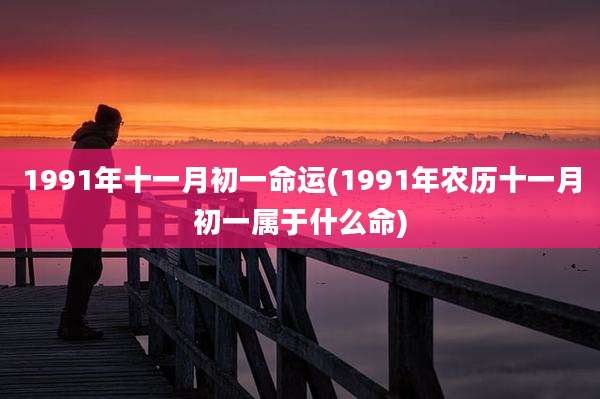 1991年十一月初一命运(1991年农历十一月初一属于什么命)