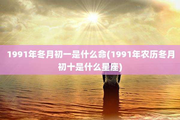 1991年冬月初一是什么命(1991年农历冬月初十是什么星座)