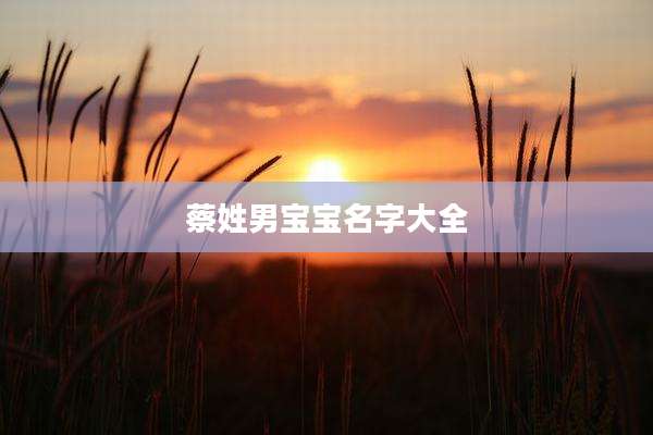 蔡姓男宝宝名字大全