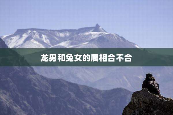 龙男和兔女的属相合不合