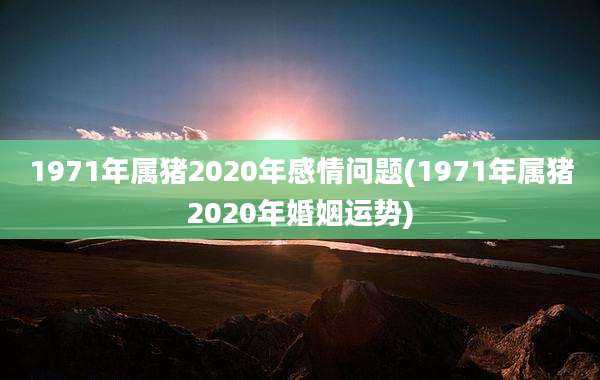 1971年属猪2020年感情问题(1971年属猪2020年婚姻运势)