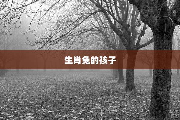 生肖兔的孩子
