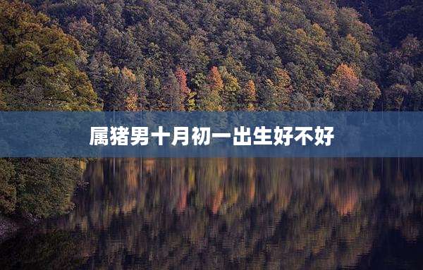 属猪男十月初一出生好不好