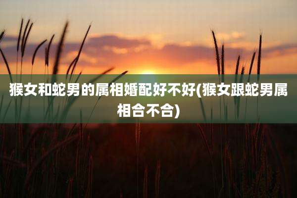 猴女和蛇男的属相婚配好不好(猴女跟蛇男属相合不合)