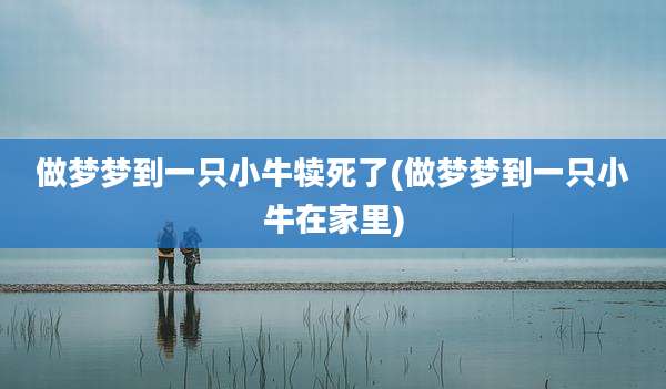 做梦梦到一只小牛犊死了(做梦梦到一只小牛在家里)