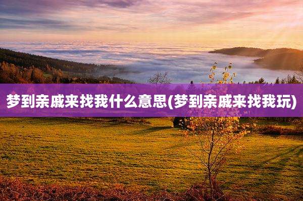 梦到亲戚来找我什么意思(梦到亲戚来找我玩)