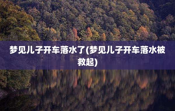 梦见儿子开车落水了(梦见儿子开车落水被救起)