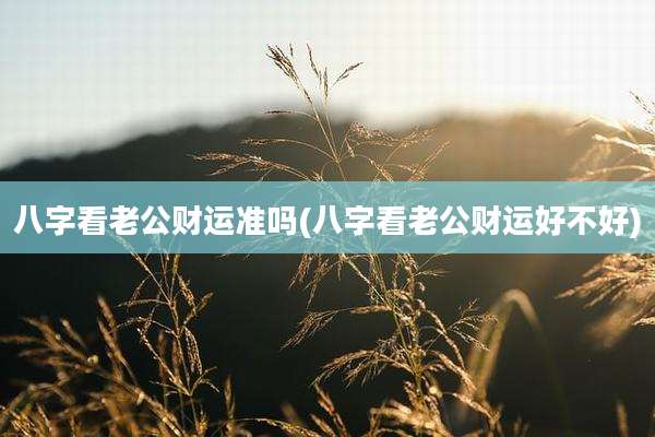 八字看老公财运准吗(八字看老公财运好不好)