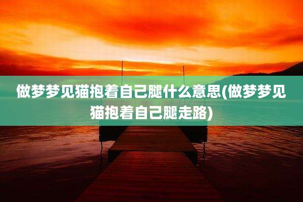 做梦梦见猫抱着自己腿什么意思(做梦梦见猫抱着自己腿走路)