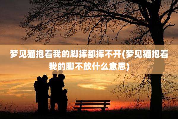 梦见猫抱着我的脚摔都摔不开(梦见猫抱着我的脚不放什么意思)