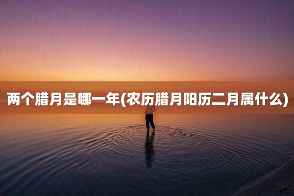 两个腊月是哪一年(农历腊月阳历二月属什么)