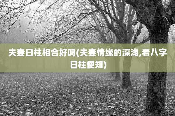 夫妻日柱相合好吗(夫妻情缘的深浅,看八字日柱便知)