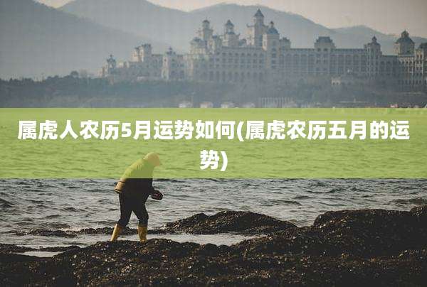 属虎人农历5月运势如何(属虎农历五月的运势)