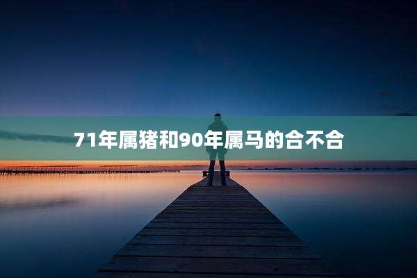 71年属猪和90年属马的合不合