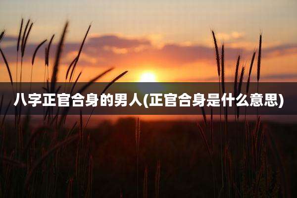 八字正官合身的男人(正官合身是什么意思)