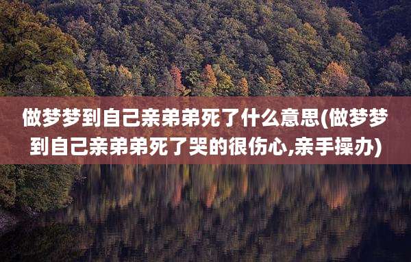 做梦梦到自己亲弟弟死了什么意思(做梦梦到自己亲弟弟死了哭的很伤心,亲手操办)