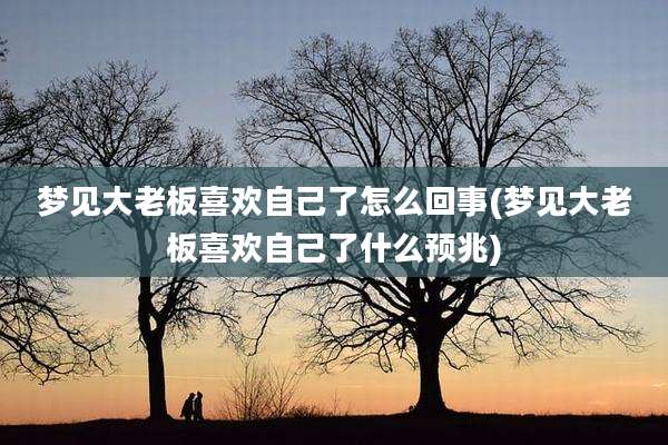 梦见大老板喜欢自己了怎么回事(梦见大老板喜欢自己了什么预兆)