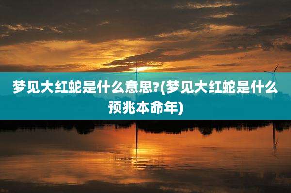 梦见大红蛇是什么意思?(梦见大红蛇是什么预兆本命年)