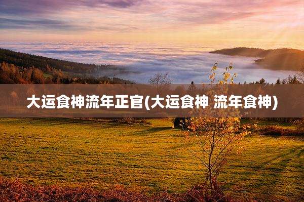 大运食神流年正官(大运食神 流年食神)