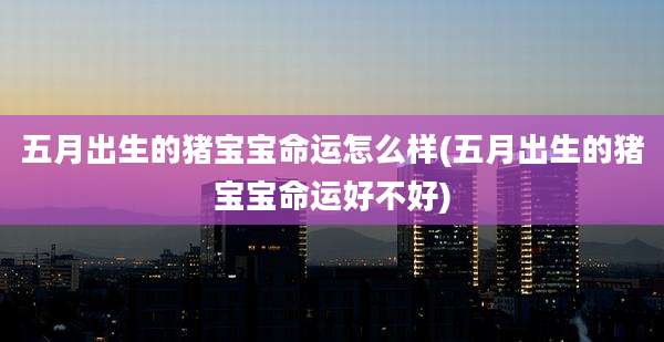 五月出生的猪宝宝命运怎么样(五月出生的猪宝宝命运好不好)