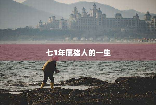 七1年属猪人的一生