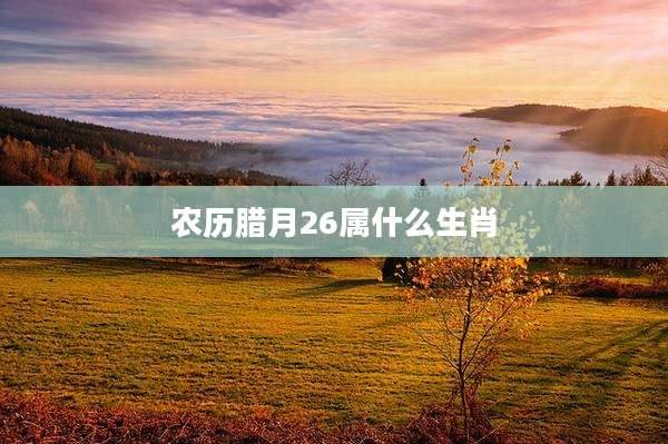农历腊月26属什么生肖