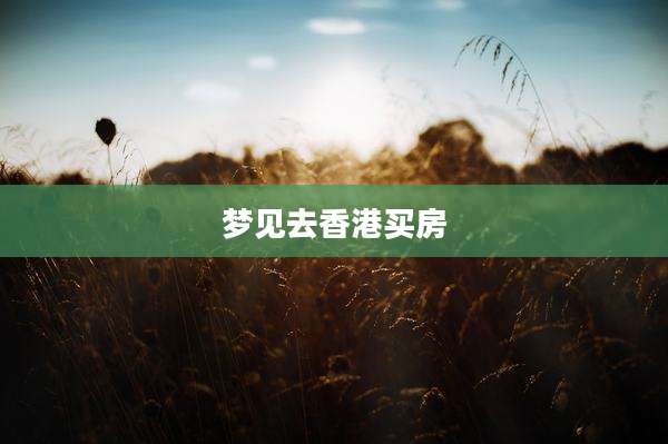梦见去香港买房