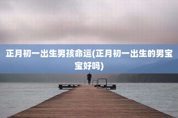 正月初一出生男孩命运(正月初一出生的男宝宝好吗)