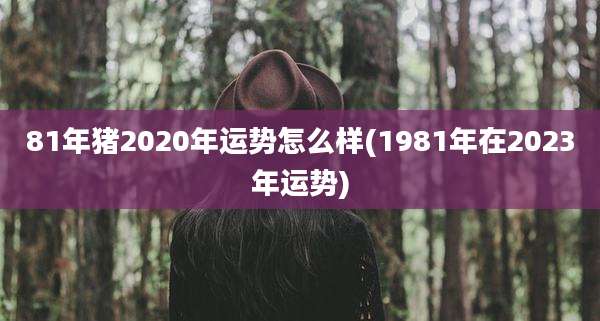 81年猪2020年运势怎么样(1981年在2023年运势)