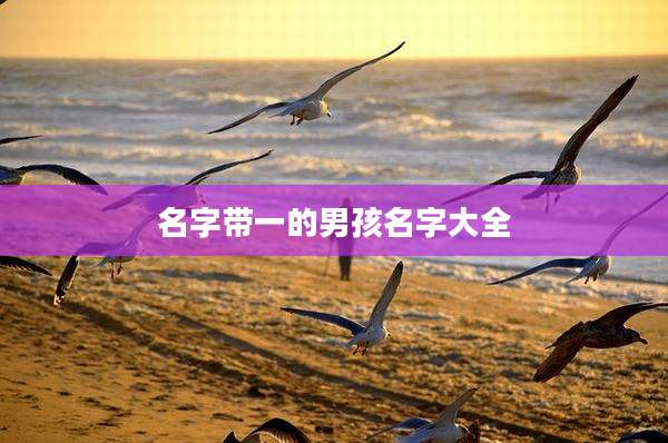 名字带一的男孩名字大全