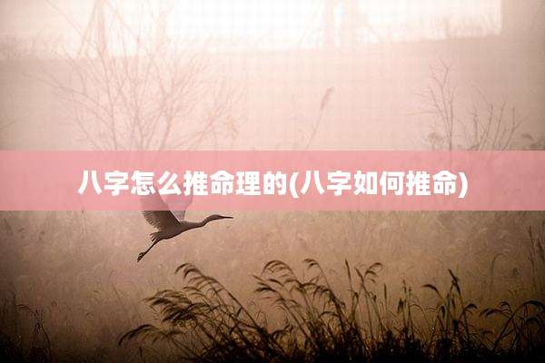 八字怎么推命理的(八字如何推命)