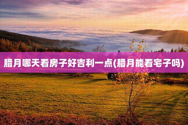 腊月哪天看房子好吉利一点(腊月能看宅子吗)