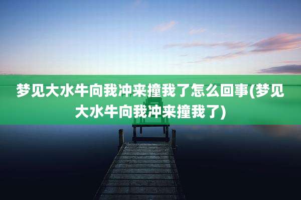 梦见大水牛向我冲来撞我了怎么回事(梦见大水牛向我冲来撞我了)