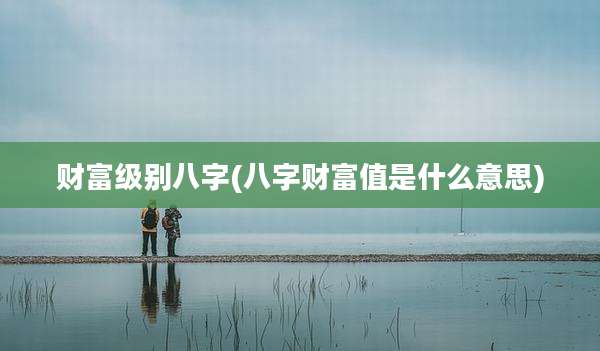 财富级别八字(八字财富值是什么意思)