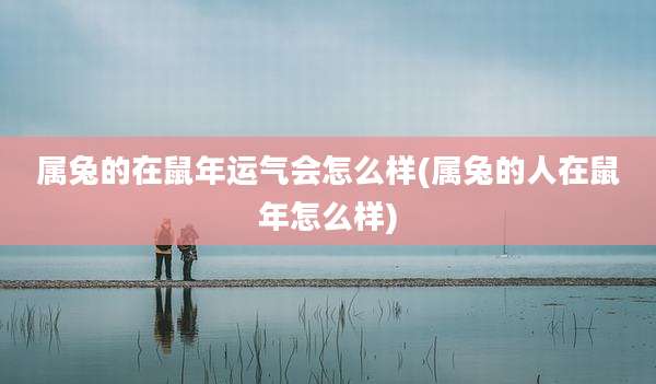 属兔的在鼠年运气会怎么样(属兔的人在鼠年怎么样)