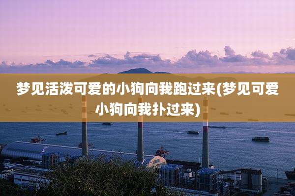 梦见活泼可爱的小狗向我跑过来(梦见可爱小狗向我扑过来)