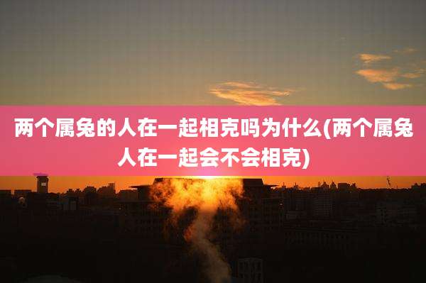 两个属兔的人在一起相克吗为什么(两个属兔人在一起会不会相克)