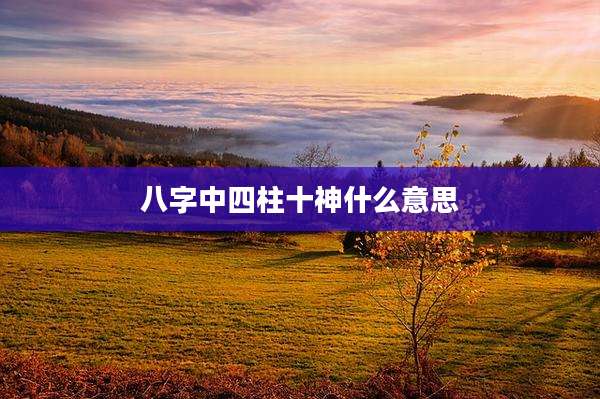 八字中四柱十神什么意思