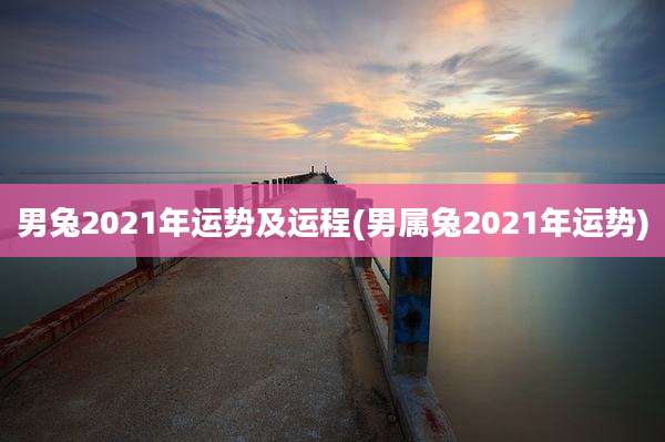 男兔2021年运势及运程(男属兔2021年运势)