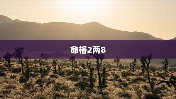 命格2两8